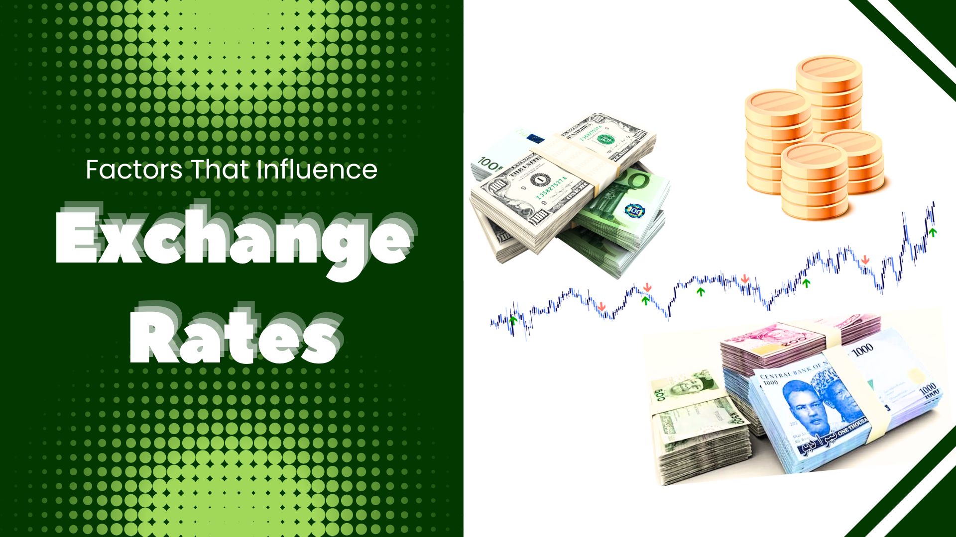 Factors That Influence Exchange Rates